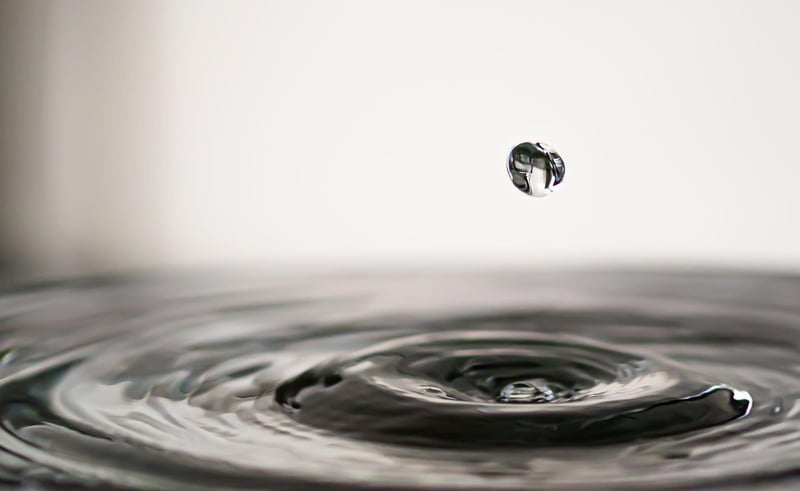 Water filter