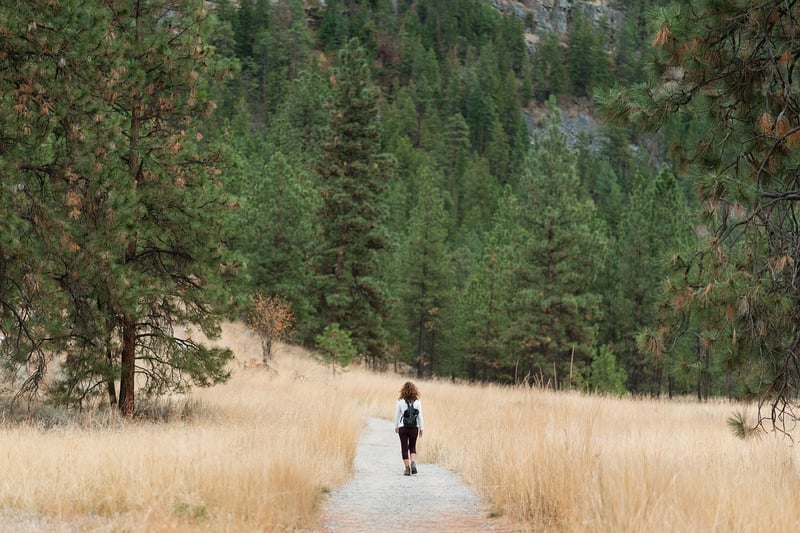 Hiking Adventure